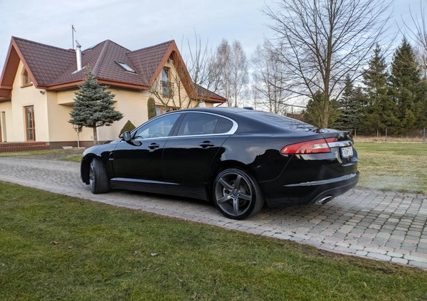 Jaguar XF cena 33900 przebieg: 260000, rok produkcji 2010 z Końskie małe 407